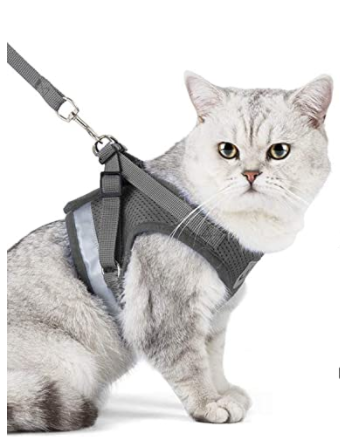 Kattsele med koppel - AdventureKit