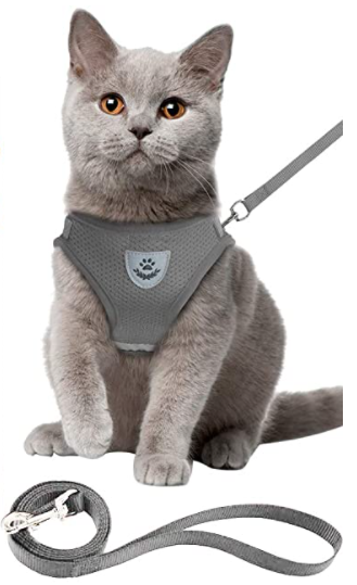 Kattsele med koppel - AdventureKit