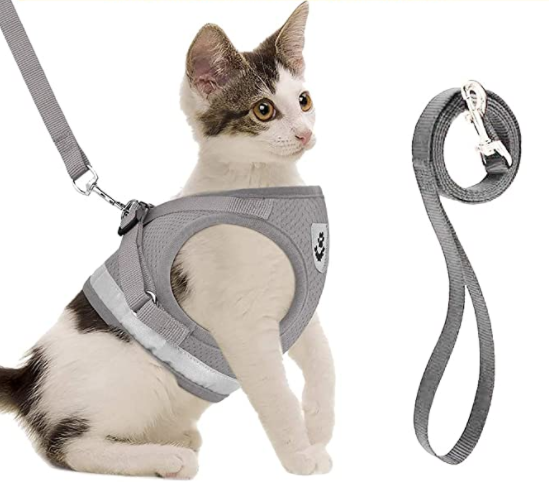 Kattsele med koppel - AdventureKit