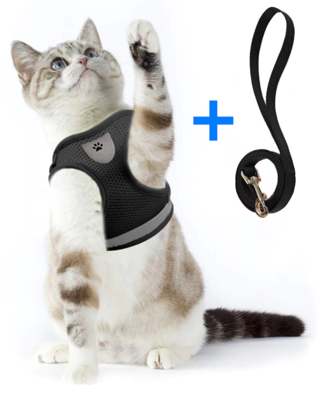 Kattsele med koppel - AdventureKit