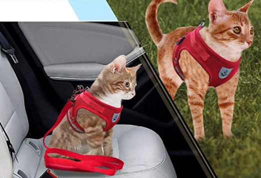 Kattsele med koppel - AdventureKit