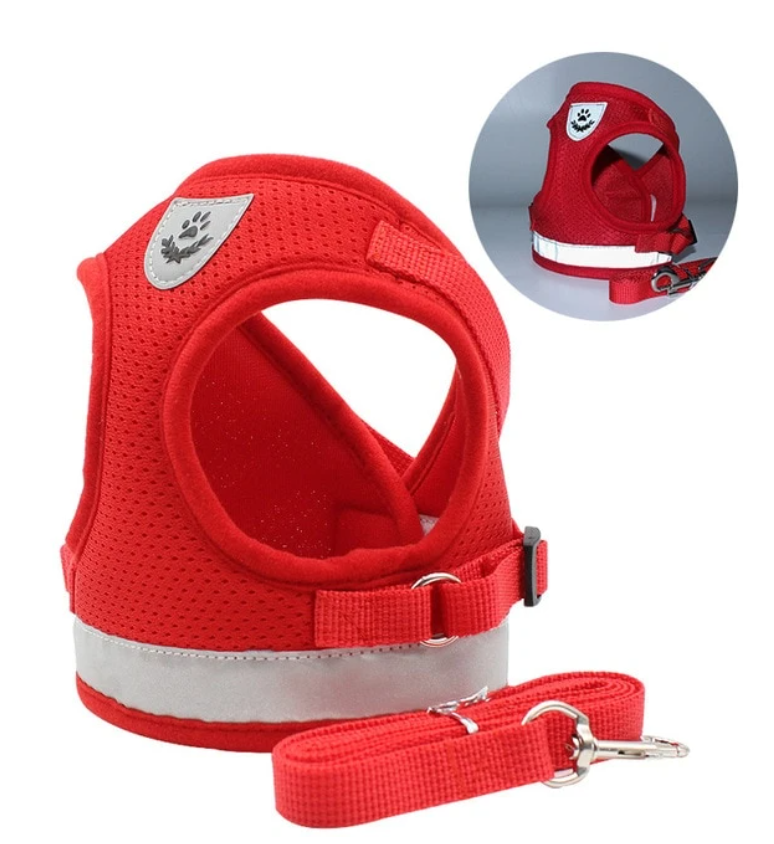 Kattsele med koppel - AdventureKit