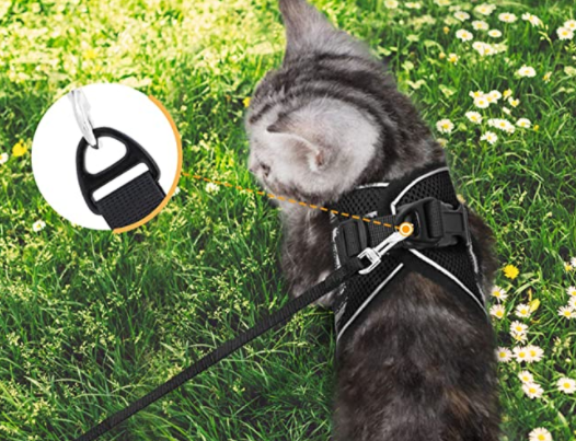 Kattsele med koppel - AdventureKit
