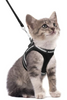 Kattsele med koppel - AdventureKit