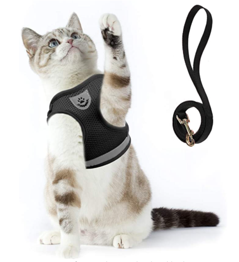 Kattsele med koppel - AdventureKit
