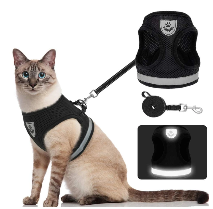 Kattsele med koppel - AdventureKit