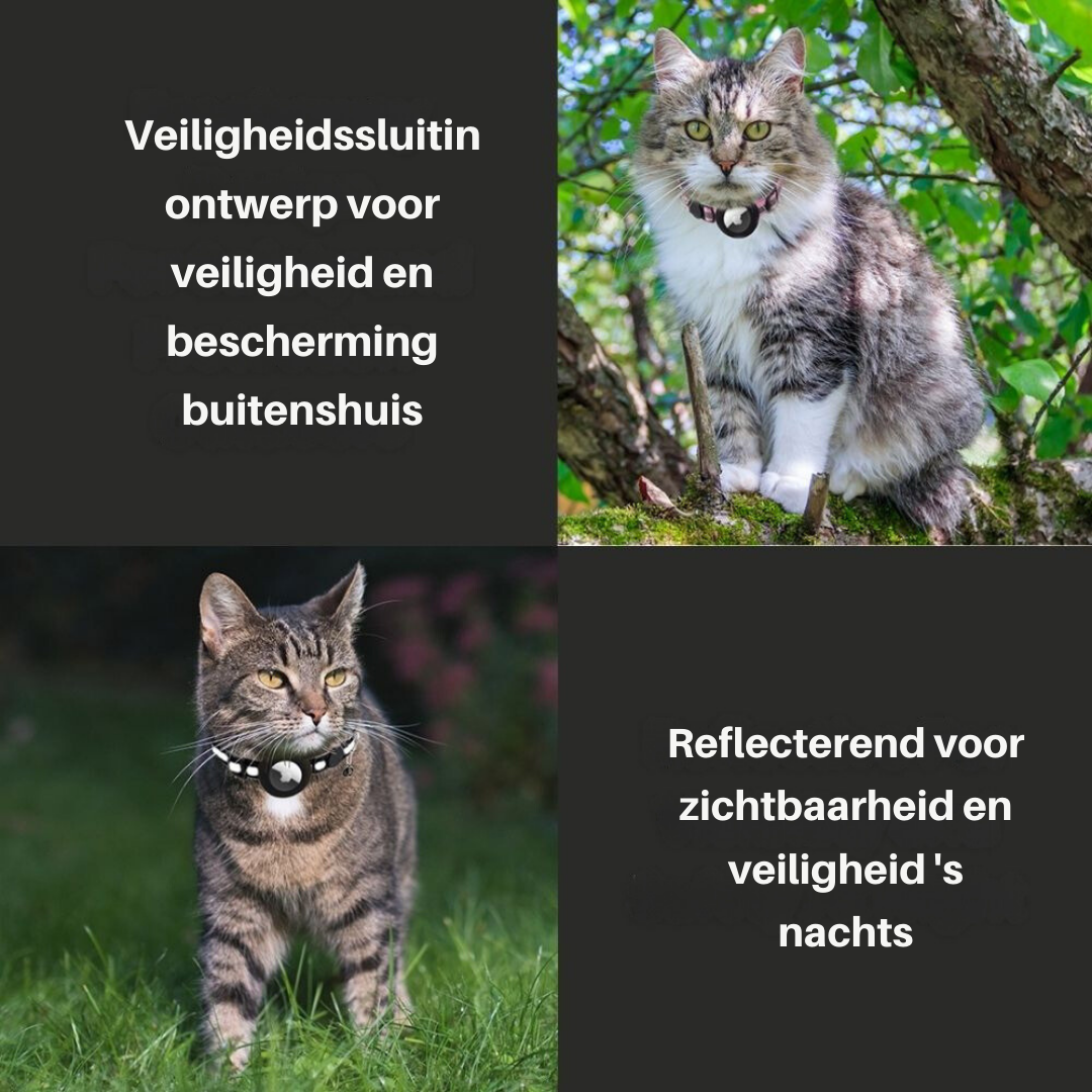 Kattkrage med säkerhetsstängning - Milo