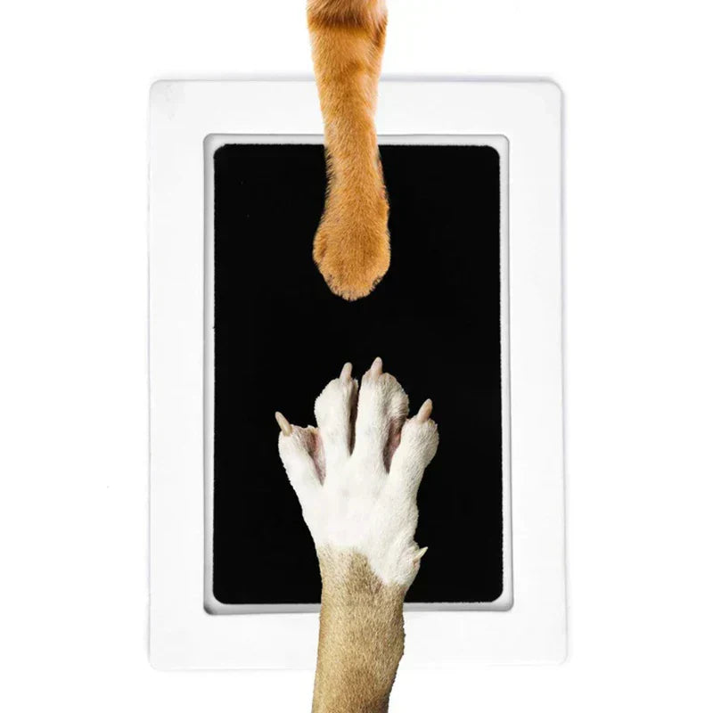 Paw Print Set - PawPrint Minnessak