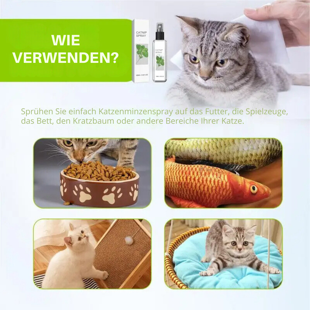 Lugnande Katt Spray - SilverVine Bliss Spray