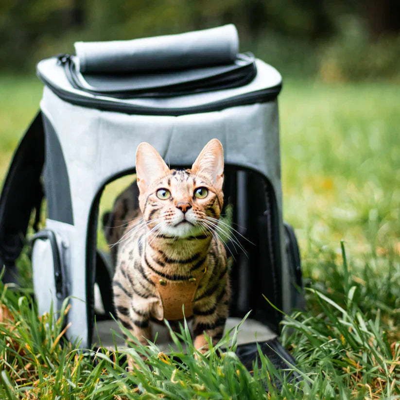 Katt Ryggsäck – PurrPack