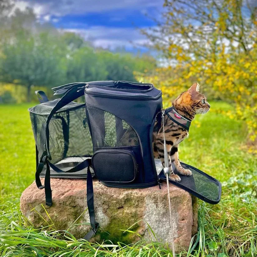 Katt Ryggsäck – PurrPack