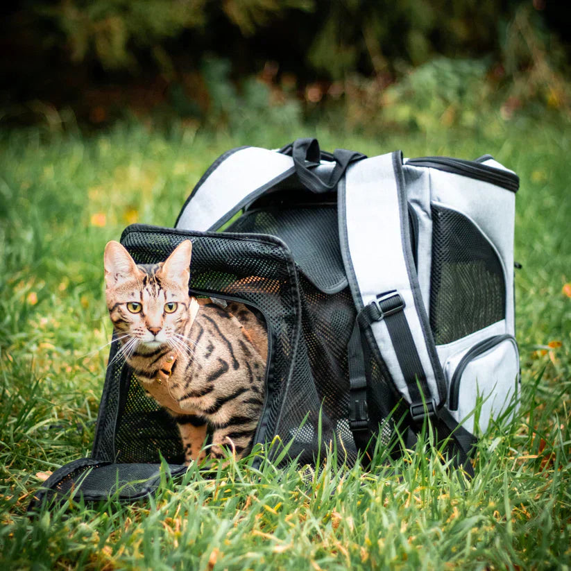 Katt Ryggsäck – PurrPack