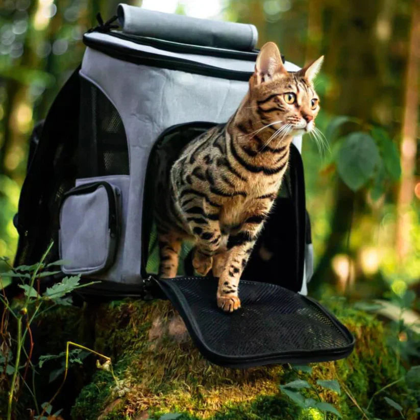 Katt Ryggsäck – PurrPack