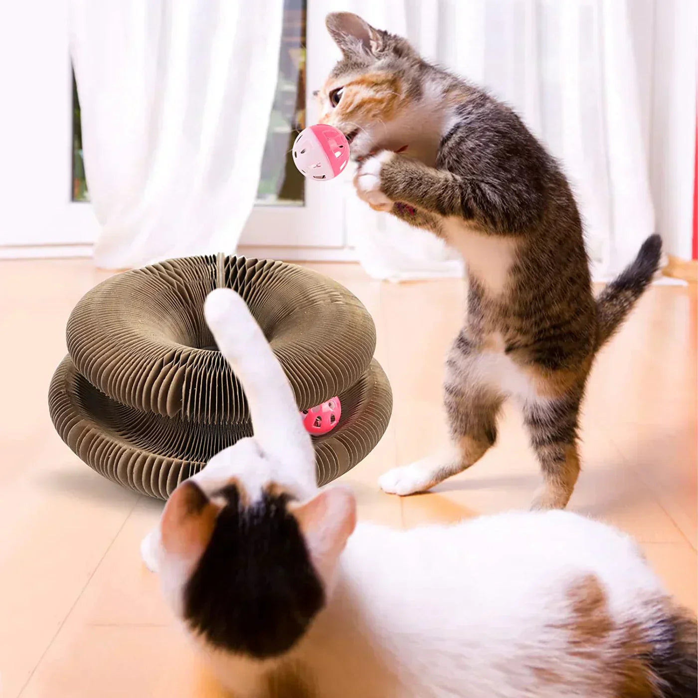 Speeltunnel för Katter - Stimulerar Aktivitet