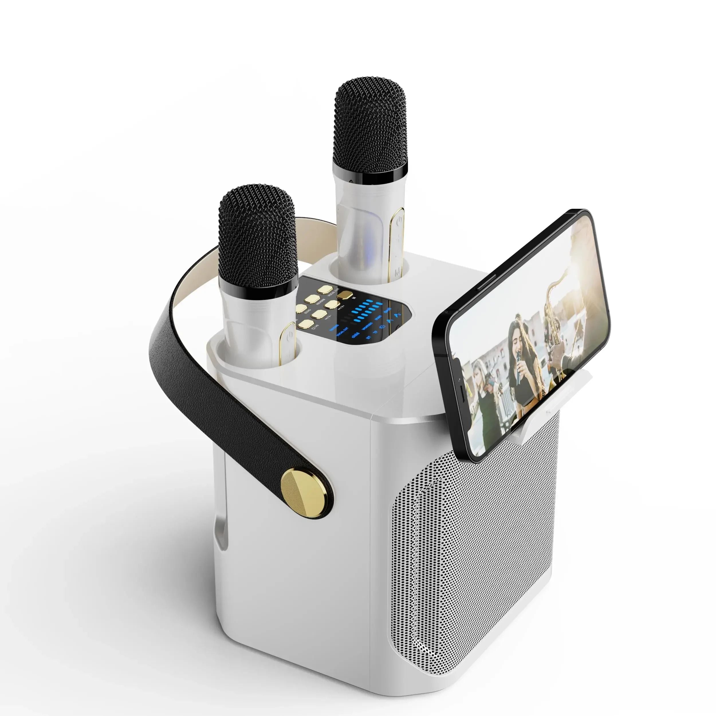 Kraftfull Bärbar Bluetooth Karaoke Högtalare - 360° Surround