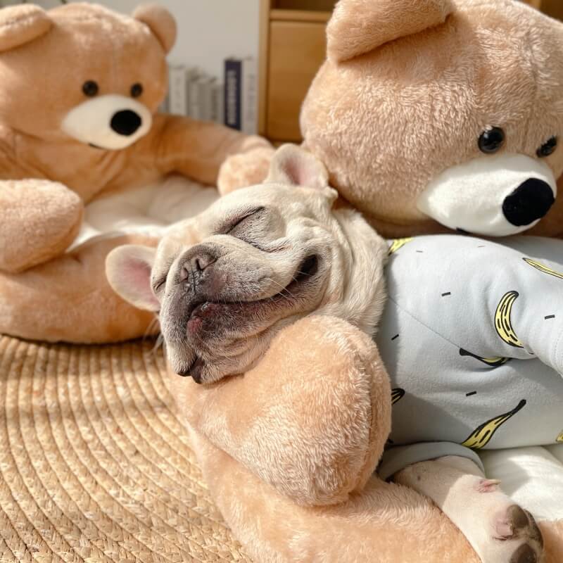Justerbar Krambjörn – SnuggleBear
