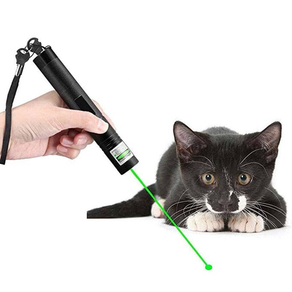 RegalBeam Precision Laser | Klar Grön Laser för Professionella Presentationer och Utomhusbruk