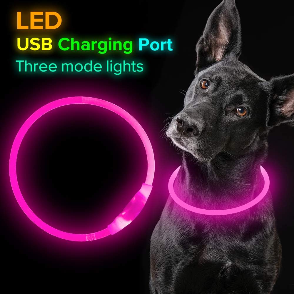 GlowSafe LED Hundhalsband – Uppladdningsbar USB Säkerhetslampa