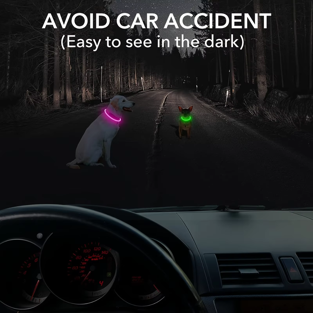 GlowSafe LED Hundhalsband – Uppladdningsbar USB Säkerhetslampa