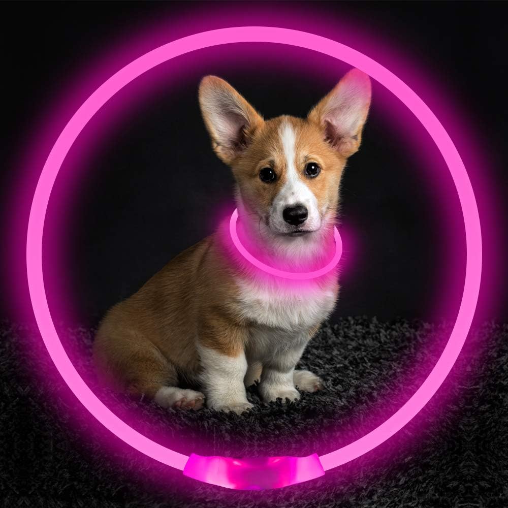 GlowSafe LED Hundhalsband – Uppladdningsbar USB Säkerhetslampa