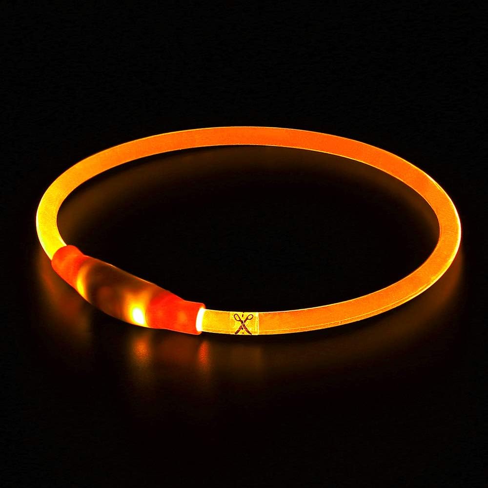 GlowSafe LED Hundhalsband – Uppladdningsbar USB Säkerhetslampa