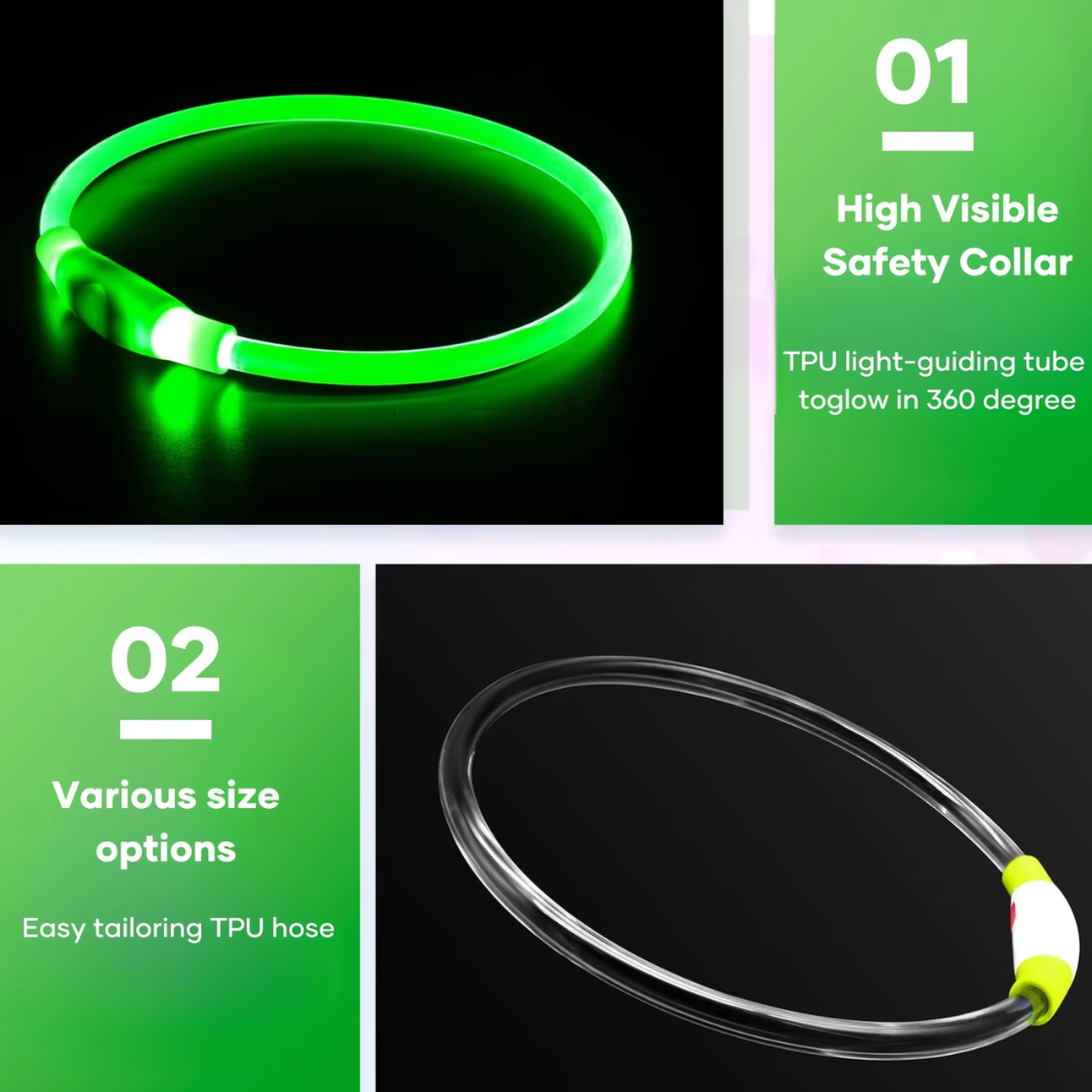 GlowSafe LED Hundhalsband – Uppladdningsbar USB Säkerhetslampa