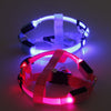 Hundsele med LED - Glow&Go