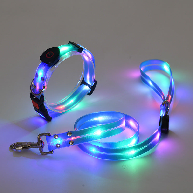 Ljus LED Hundhalsband med Koppel - NightBright