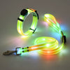 Ljus LED Hundhalsband med Koppel - NightBright