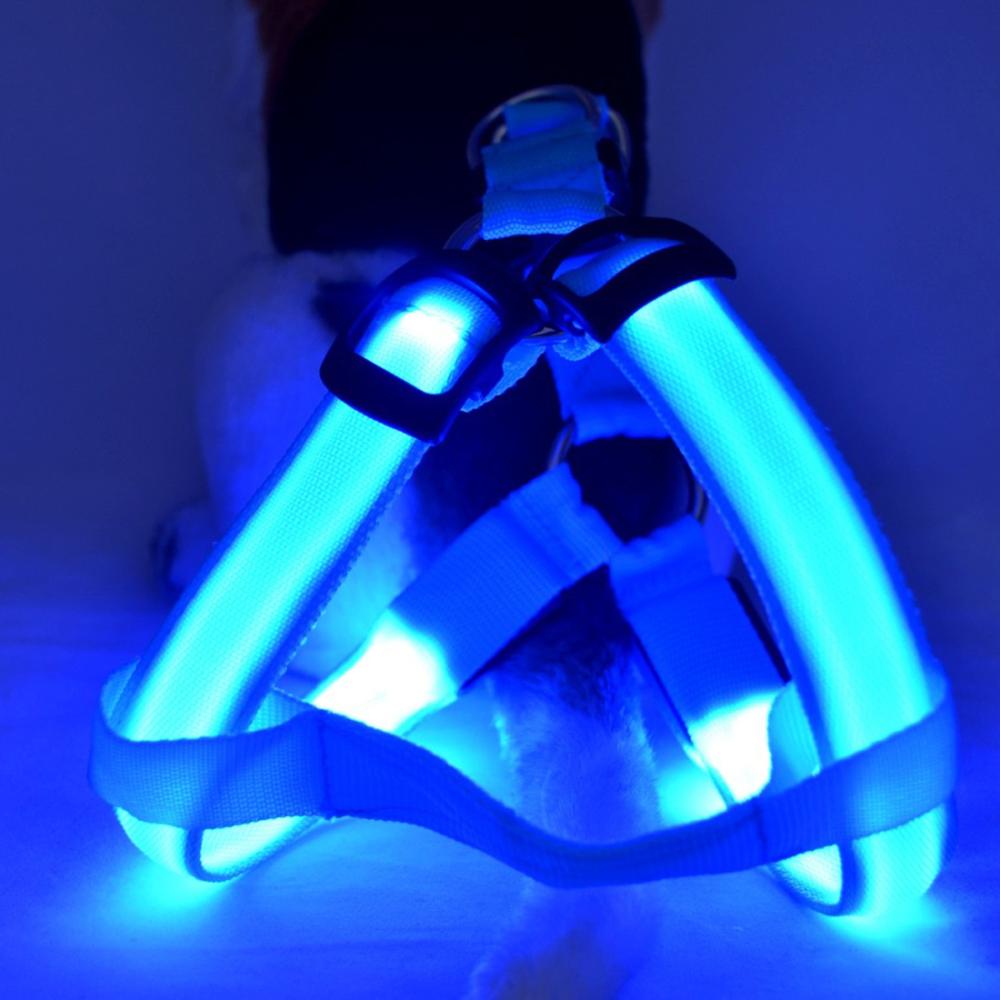 Hundsele med LED - Glow&Go