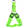 Hundsele med LED - Glow&Go