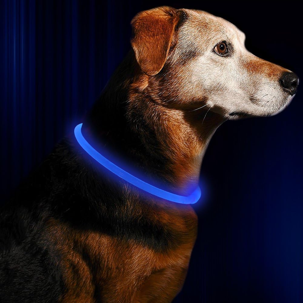 GlowSafe LED Hundhalsband – Uppladdningsbar USB Säkerhetslampa