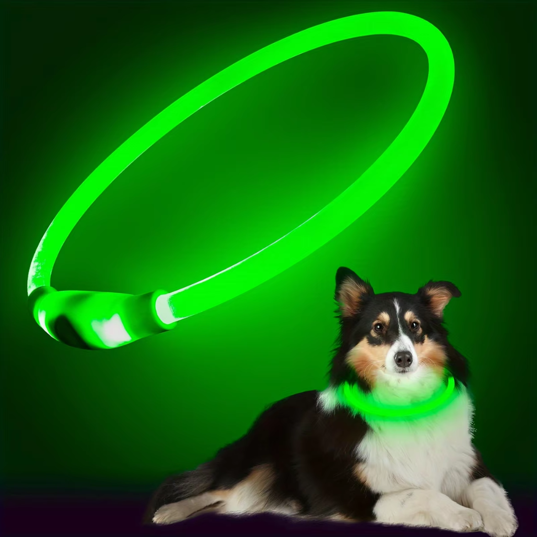 GlowSafe LED Hundhalsband – Uppladdningsbar USB Säkerhetslampa