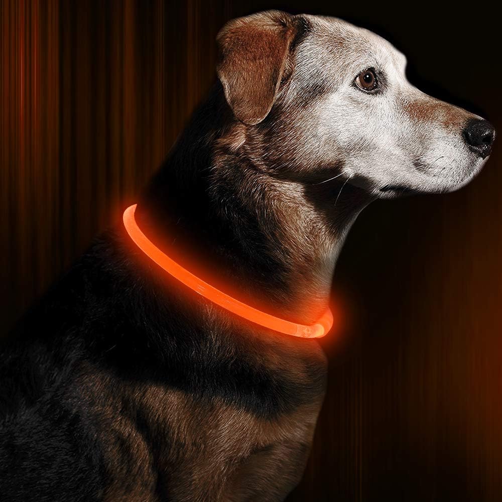 GlowSafe LED Hundhalsband – Uppladdningsbar USB Säkerhetslampa