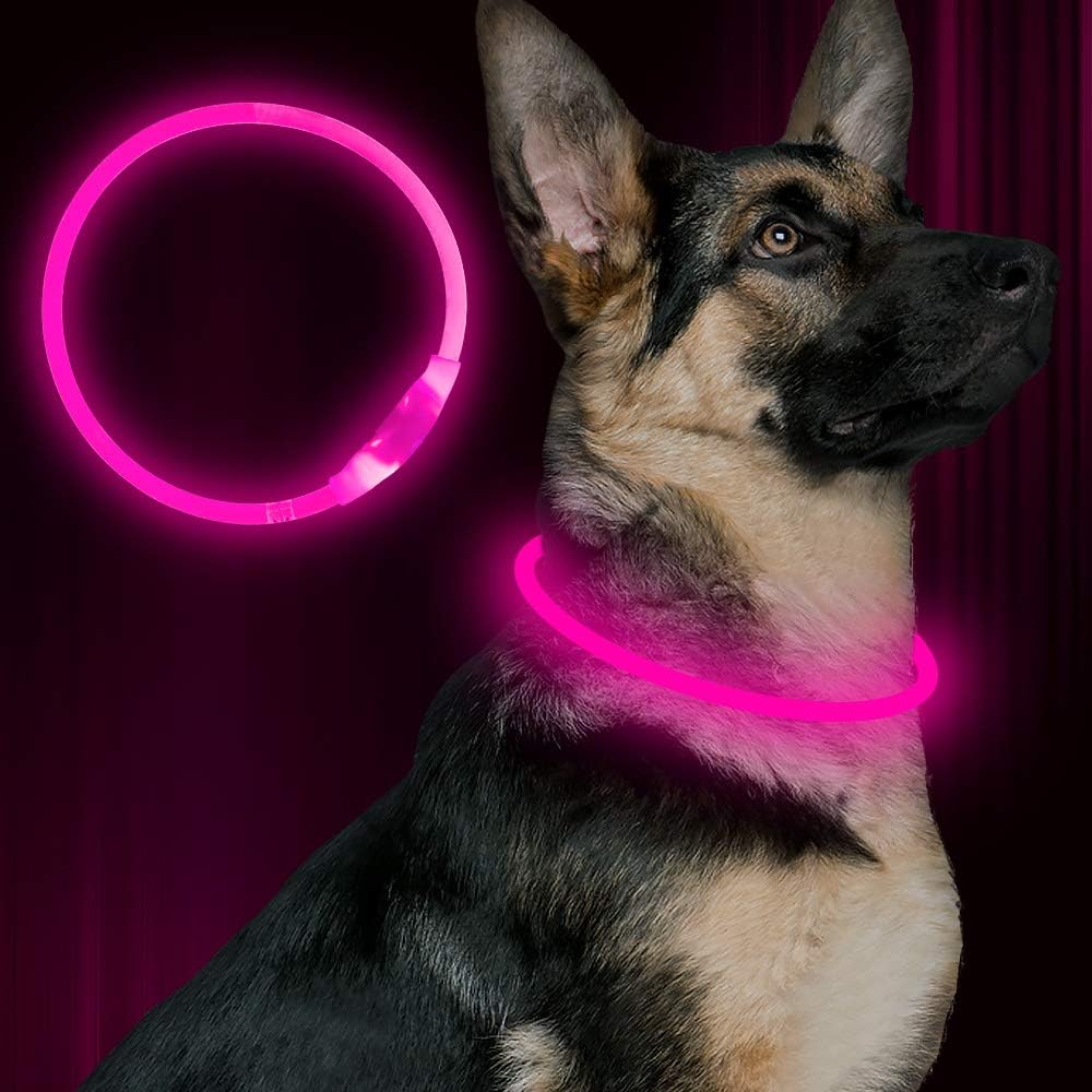 GlowSafe LED Hundhalsband – Uppladdningsbar USB Säkerhetslampa