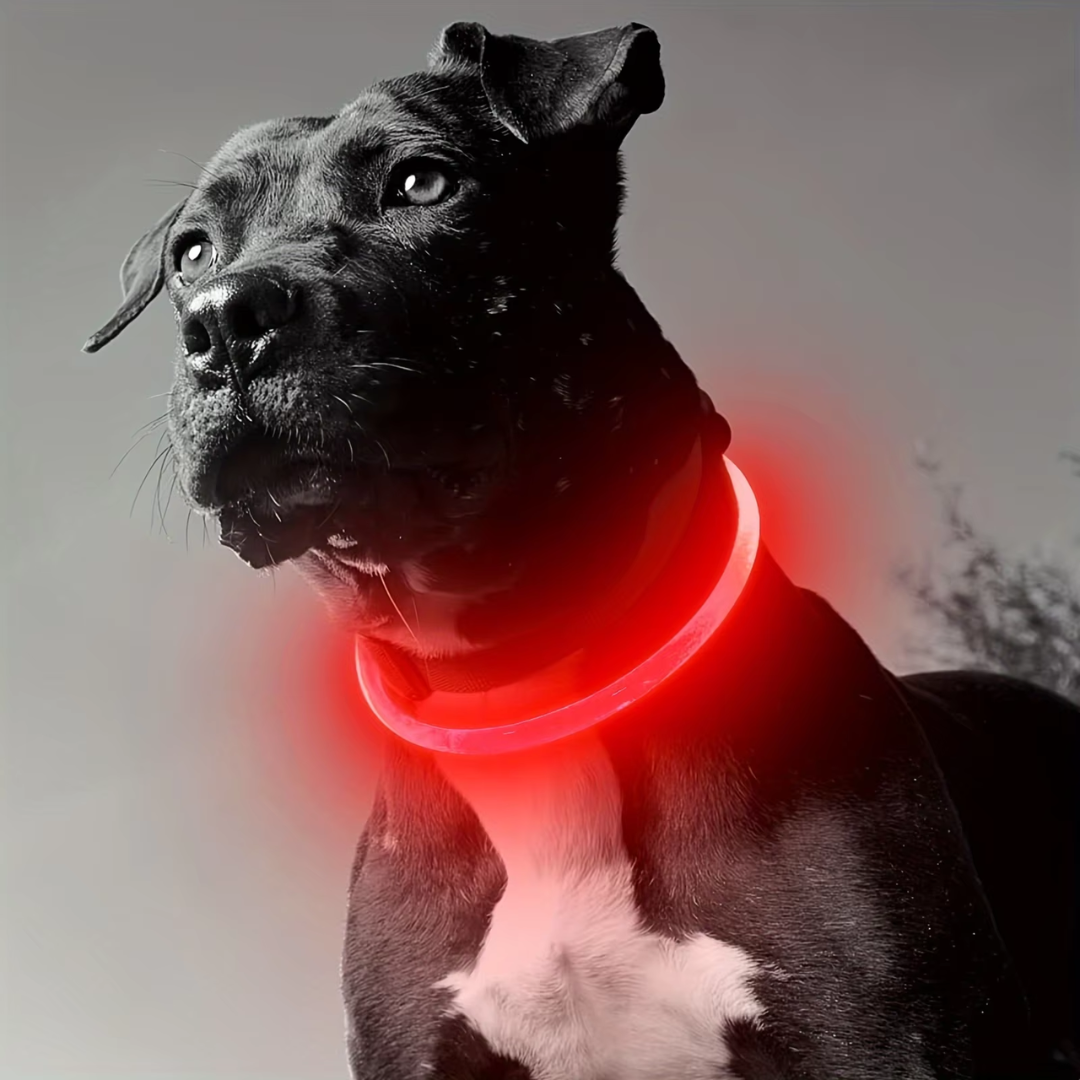 GlowSafe LED Hundhalsband – Uppladdningsbar USB Säkerhetslampa