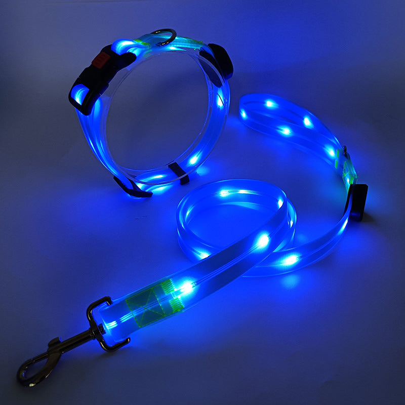 Ljus LED Hundhalsband med Koppel - NightBright