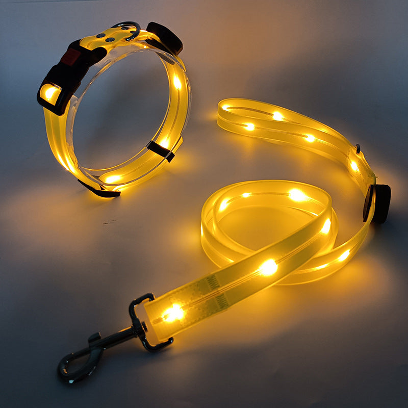 Ljus LED Hundhalsband med Koppel - NightBright