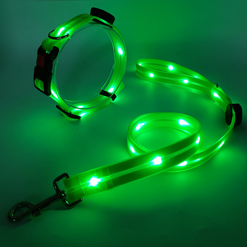 Ljus LED Hundhalsband med Koppel - NightBright