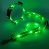 Ljus LED Hundhalsband med Koppel - NightBright