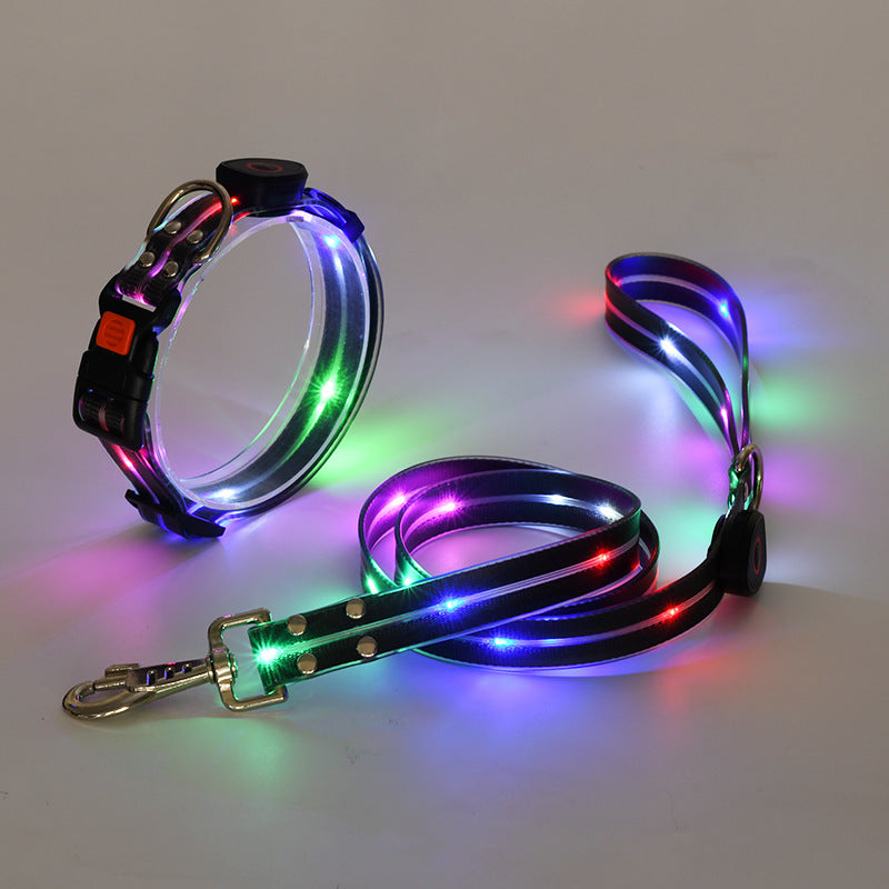 Ljus LED Hundhalsband med Koppel - NightBright