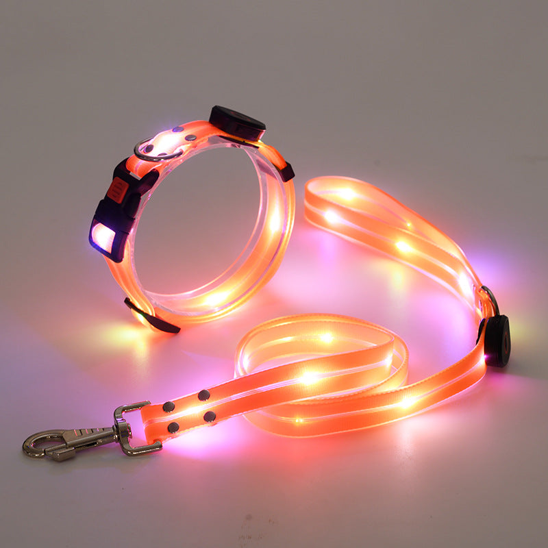 Ljus LED Hundhalsband med Koppel - NightBright