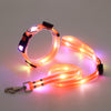 Ljus LED Hundhalsband med Koppel - NightBright