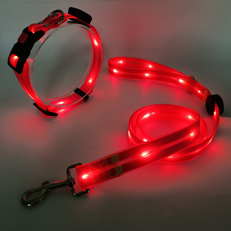 Ljus LED Hundhalsband med Koppel - NightBright