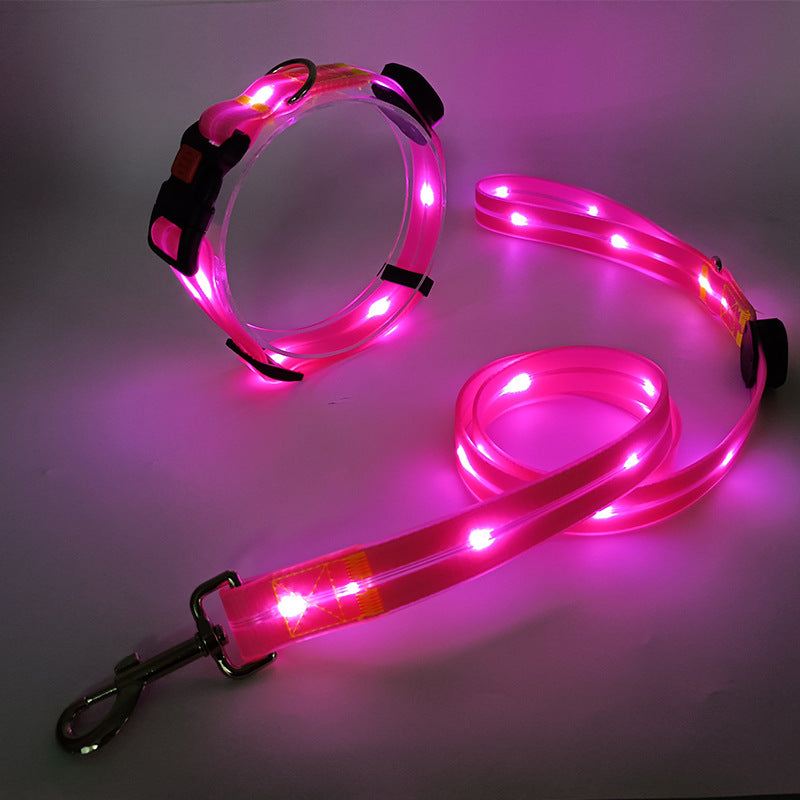 Ljus LED Hundhalsband med Koppel - NightBright