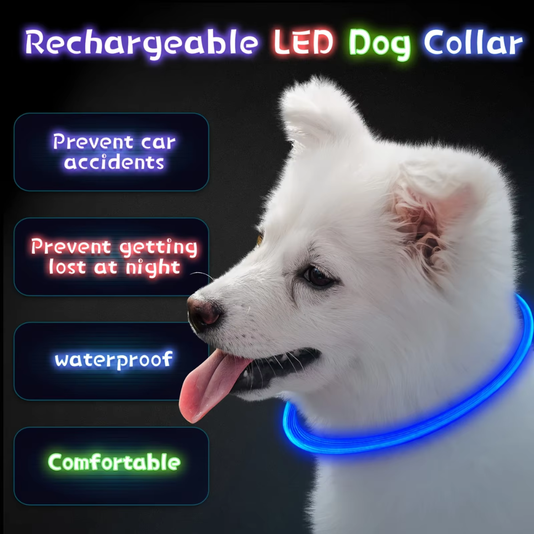 GlowSafe LED Hundhalsband – Uppladdningsbar USB Säkerhetslampa