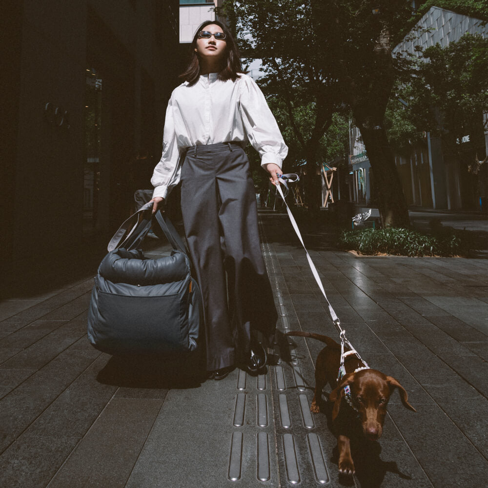 Luxe Hundbilstol | Bekväm & Säker Resa