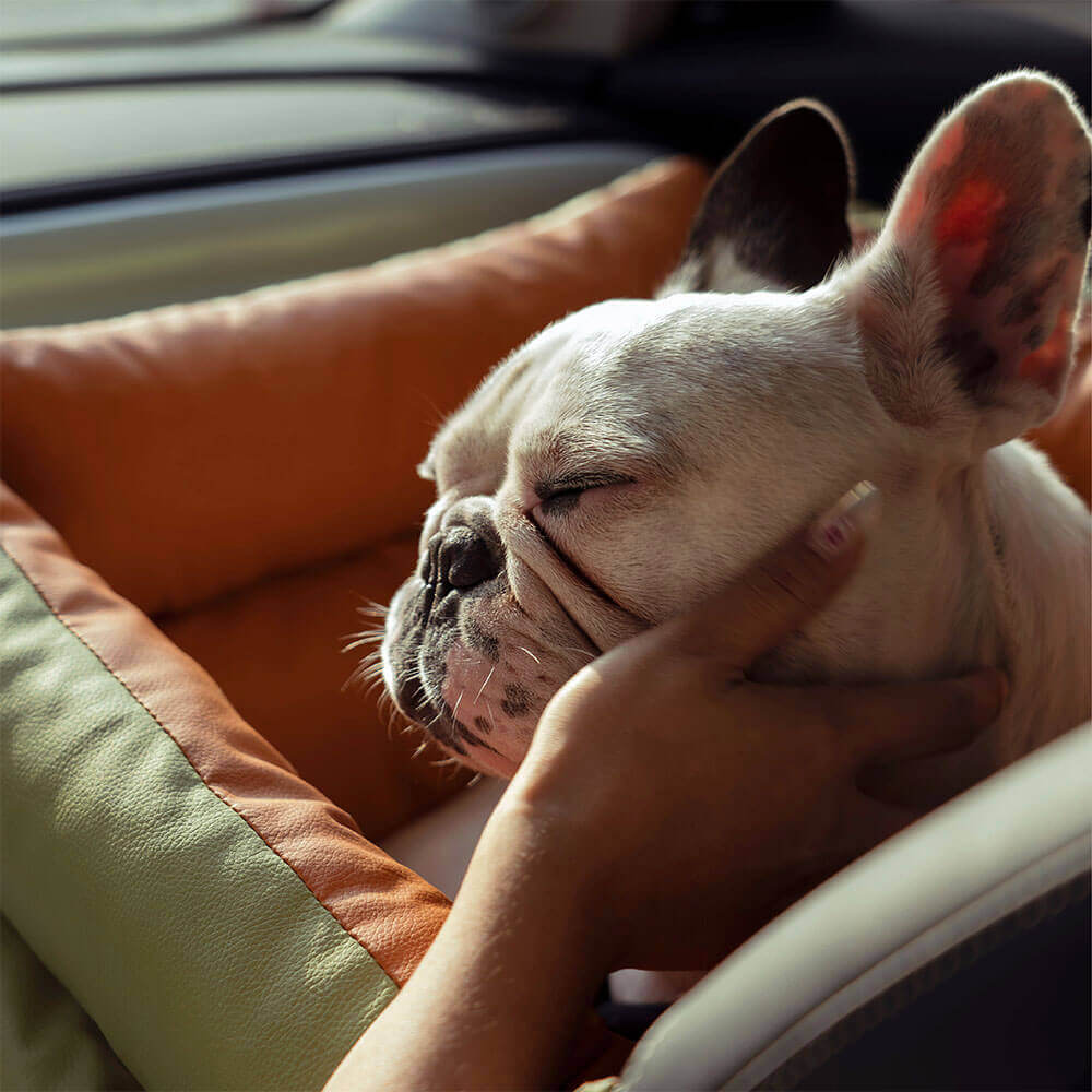 Luxe Hundbilstol | Bekväm & Säker Resa