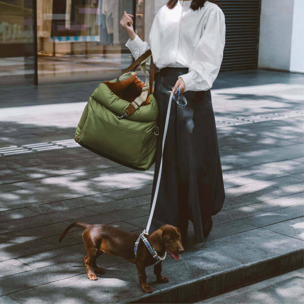 Luxe Hundbilstol | Bekväm & Säker Resa