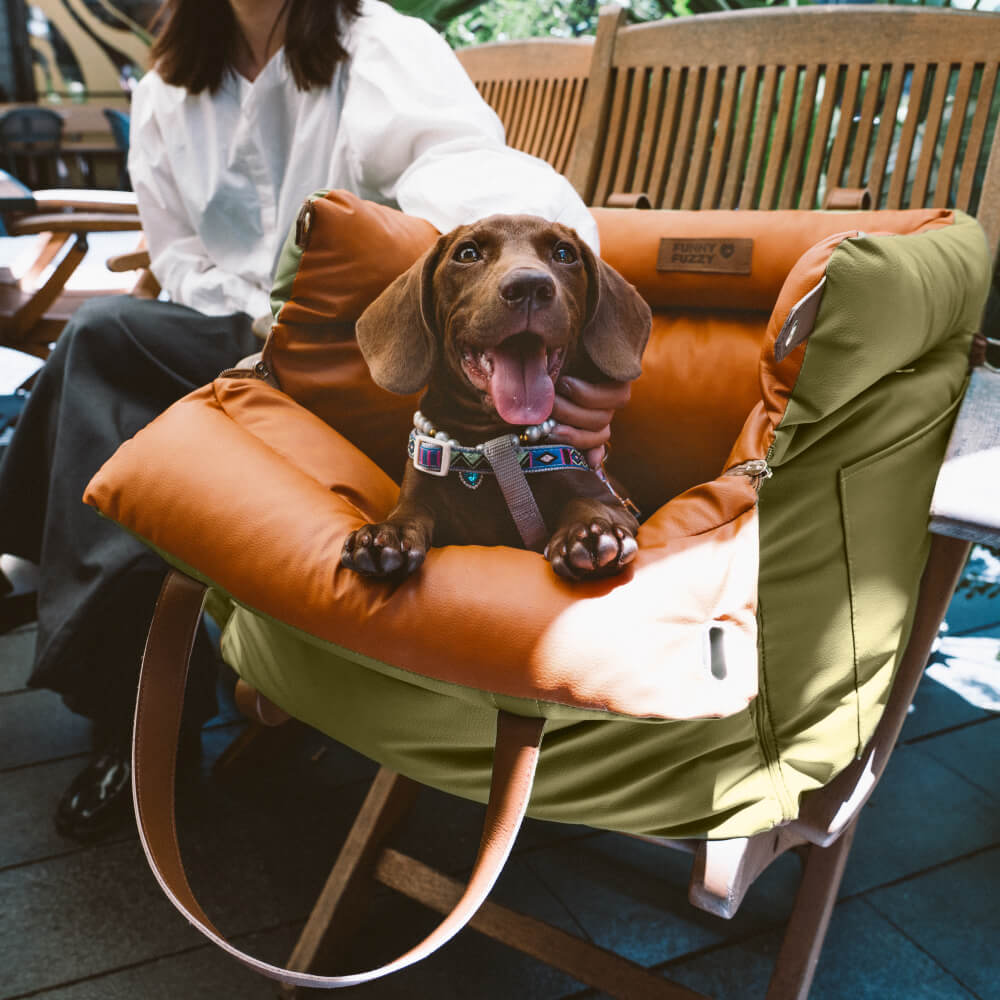 Luxe Hundbilstol | Bekväm & Säker Resa